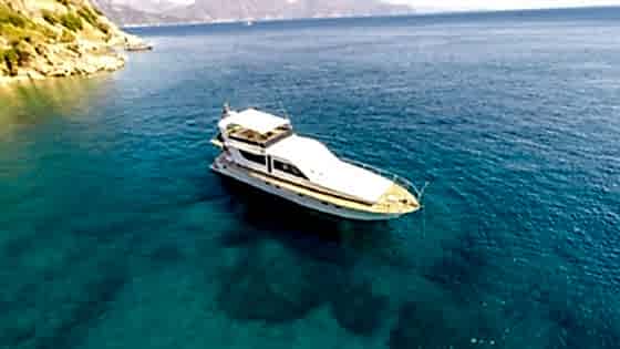 No More Stress resimleri